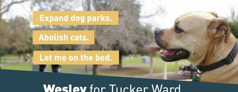 Wesley - Candidate for Tucker Ward - Featured image